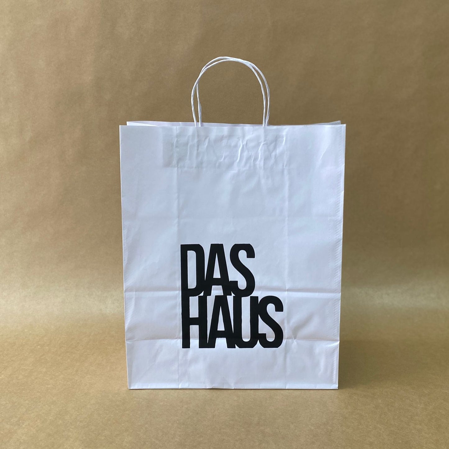 Sacola Kraft 110g - 10 unidades
