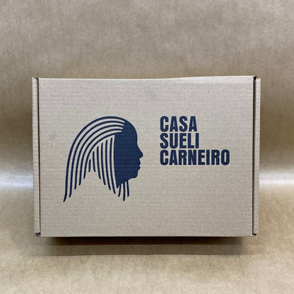 Caixas de Papelão (pardo) - 10 Unidades