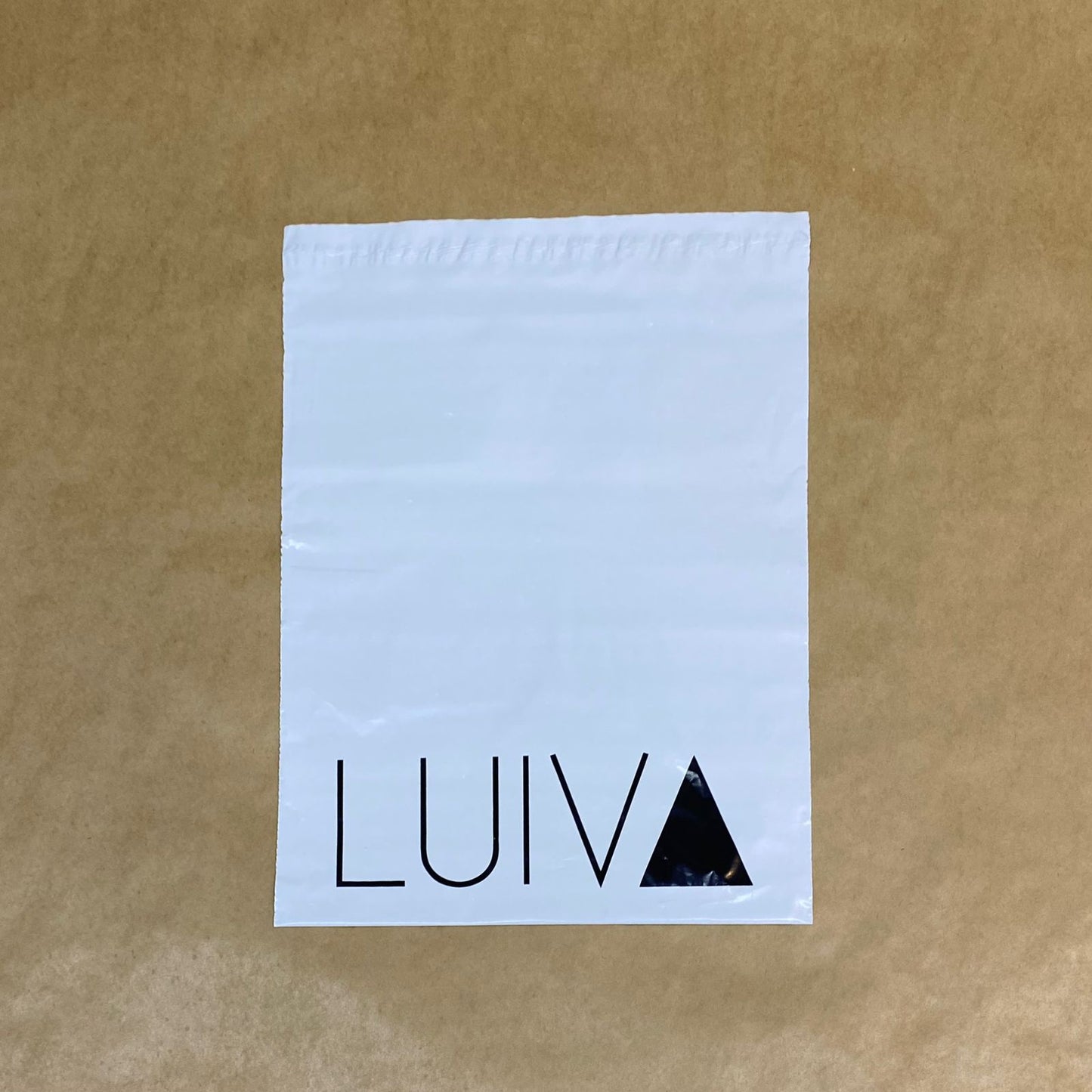 Saquinho Correio (Envelope Plástico de Segurança) - 100 UNIDADES